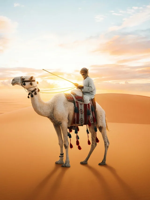 ylavm0cczet02uy32trj