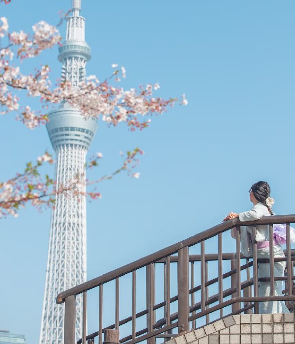 Book Hotels in Tokyo Justbuytravel|Book Hotels in Tokyo