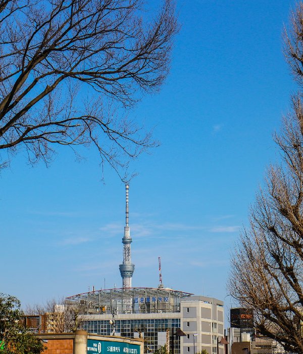 Book Hotels in Tokyo Justbuytravel|Book Hotels in Tokyo