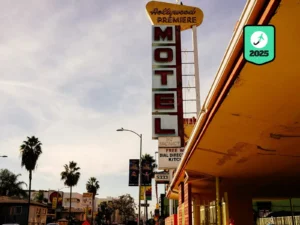 Where to Stay in Palm Springs: Best Hotels by Budget