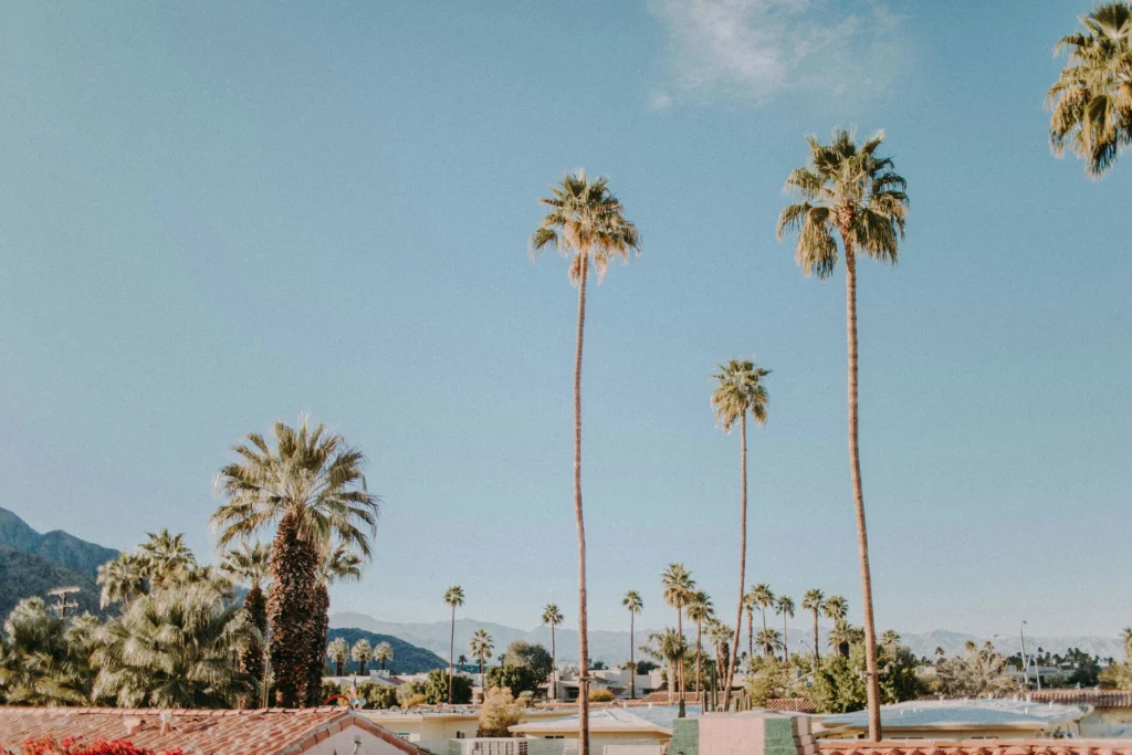 mid range Palm Spring hotels