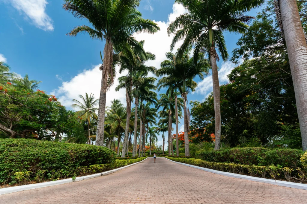 All Inclusive trips to Caribbean Island in Trinidad and Tobago