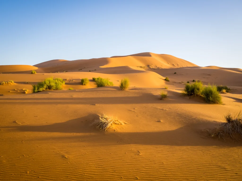 The Sahara Desert