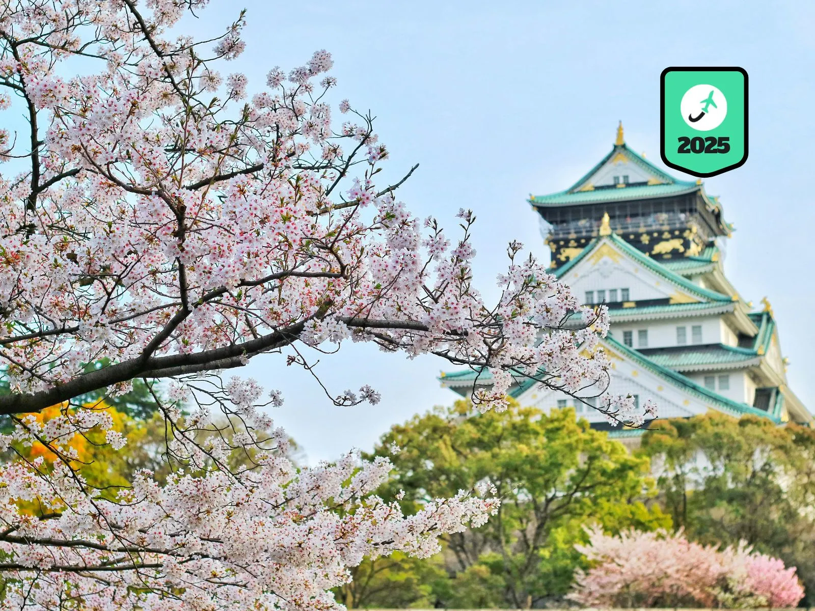 10 Japan Travel Tips for a Smooth and Memorable Trip