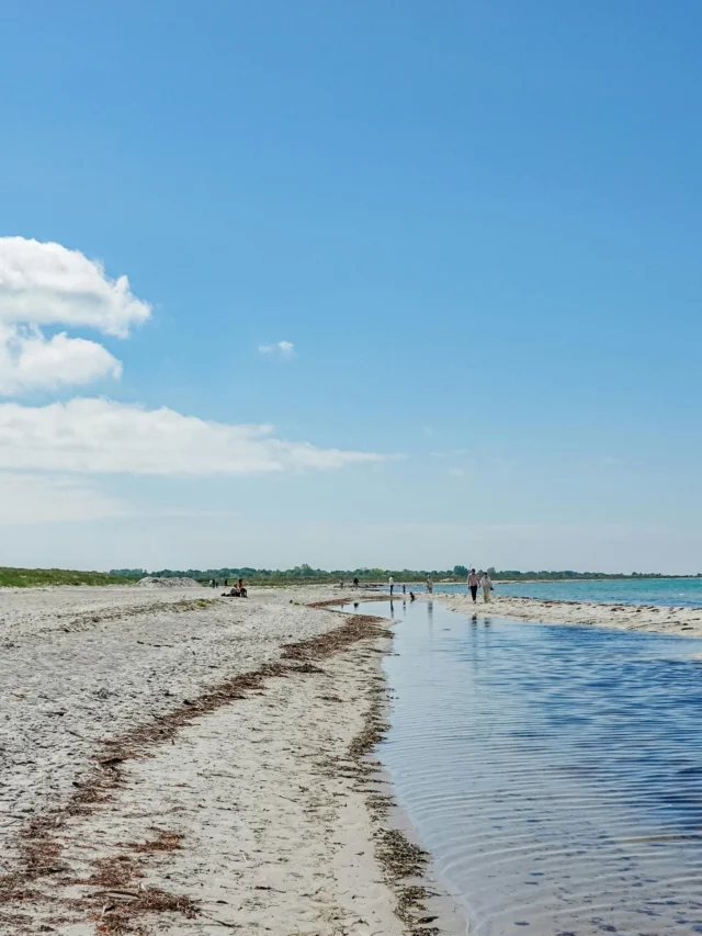 Miami Beach shoreline on a sunny day with clear water