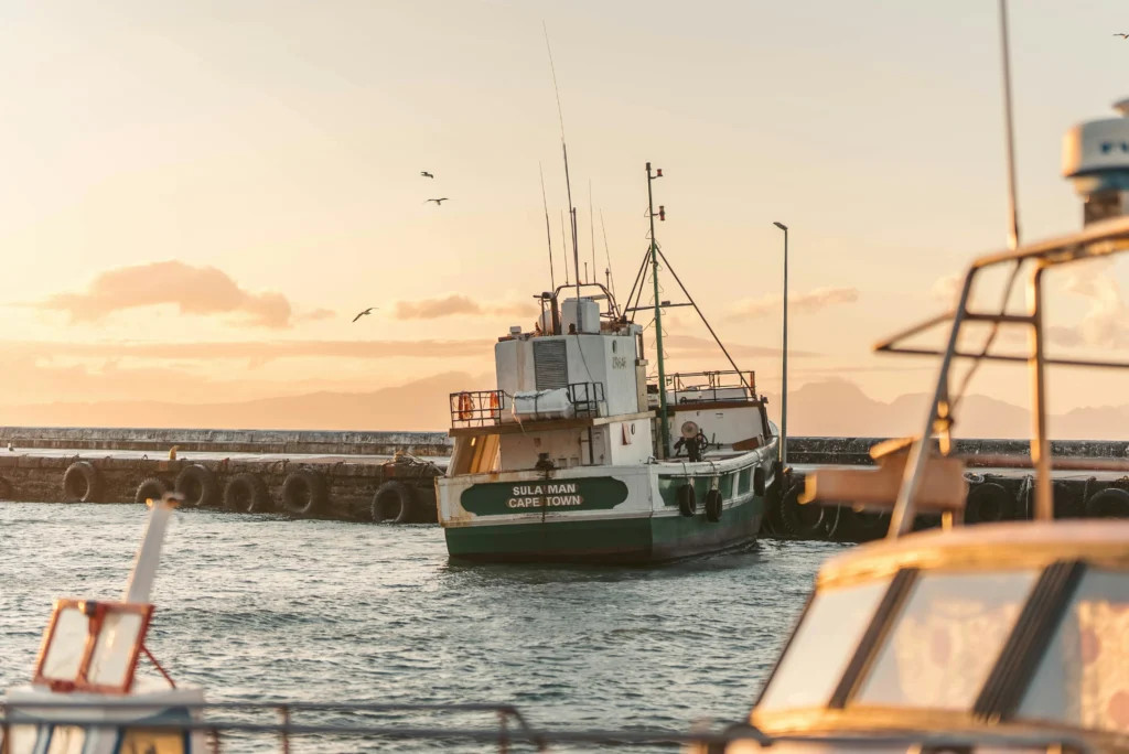 Trips from Cape Town